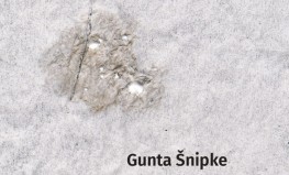 Gunta Šnipke "Kā"