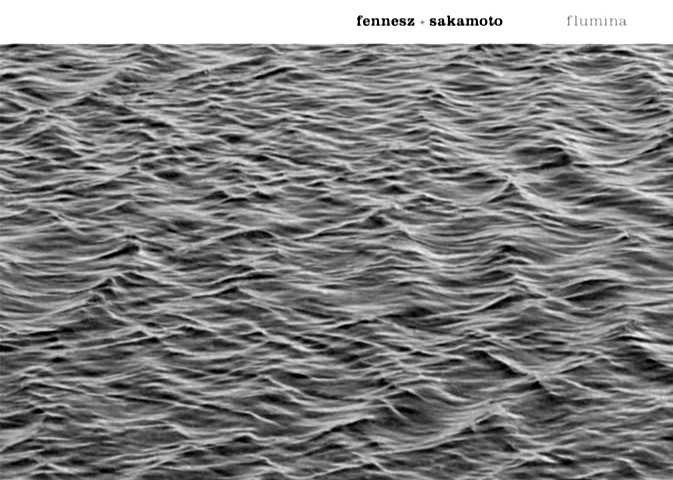 Fennesz + Sakamoto "Flumina"