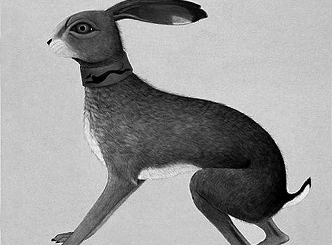 Vashti Bunyan "Lookaftering"