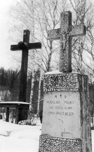 (Foto - Kaspars Goba)