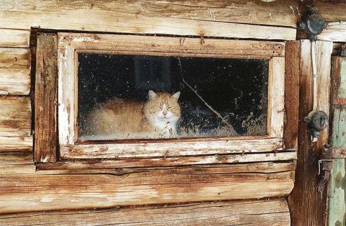 (Foto - Kaspars Goba)